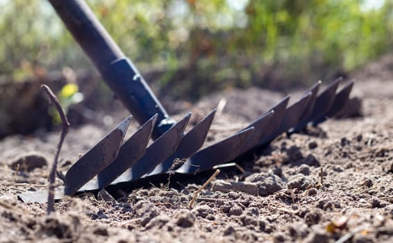 Photo of a garden rake on a bed. Old metal rake in the garden. Spring cleaning. Formation of the soil for planting with a rake in the spring, work with a garden tool. Soil preparation for sowing