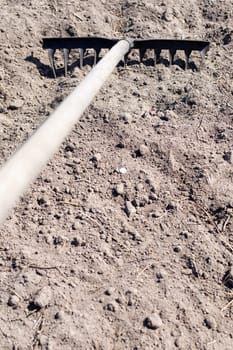 Photo of a garden rake on a bed. Old metal rake in the garden. Spring cleaning. Formation of the soil for planting with a rake in the spring, work with a garden tool. Soil preparation for sowing