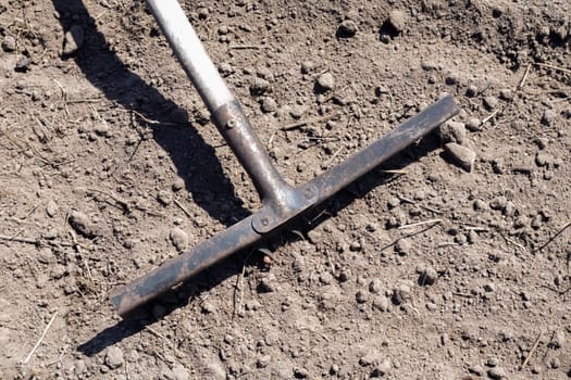 Photo of a garden rake on a bed. Old metal rake in the garden. Spring cleaning. Formation of the soil for planting with a rake in the spring, work with a garden tool. Soil preparation for sowing
