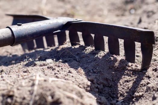 Photo of a garden rake on a bed. Old metal rake in the garden. Spring cleaning. Formation of the soil for planting with a rake in the spring, work with a garden tool. Soil preparation for sowing