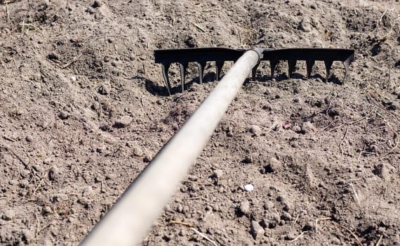 Close up photo of a garden rake on a bed. Old black metal rake on dry soil, in the garden. Spring cleaning. Selective focus. Yard area cleaning