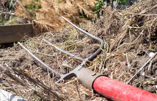 Fork with red handle for composting, recycling lawn and garden waste. Forks stuck in compost. Making and mixing compost in the backyard. Organic fertilizer for garden plants