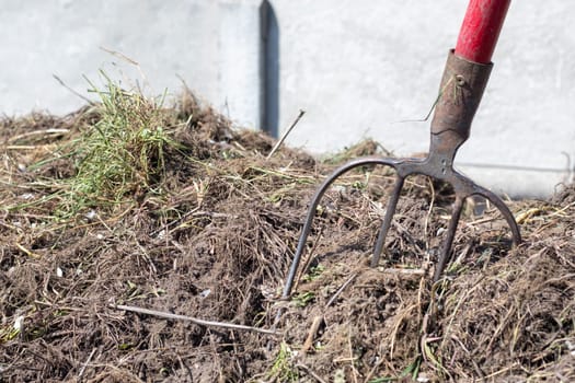 Fork with red handle for composting, recycling lawn and garden waste. Forks stuck in compost. Making and mixing compost in the backyard. Organic fertilizer for garden plants