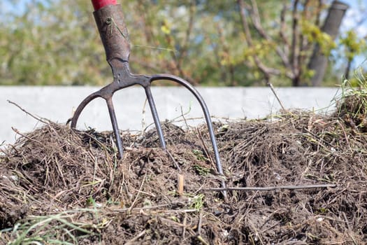 Fork with red handle for composting, recycling lawn and garden waste. Forks stuck in compost. Making and mixing compost in the backyard. Organic fertilizer for garden plants