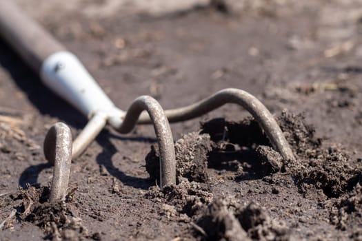 A small dusty rake used in home gardens. Garden tools for gardening and care of plants at home and in the garden. Spring or summer garden work. Dig up a piece of land among the weeds