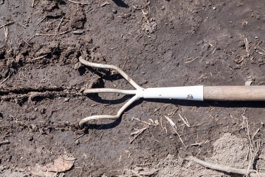 A small dusty rake used in home gardens. Garden tools for gardening and care of plants at home and in the garden. Spring or summer garden work. Dig up a piece of land among the weeds
