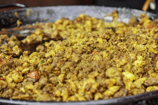Detail of traditional Indian food, meat with special