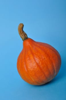 pumpkin on a blue background