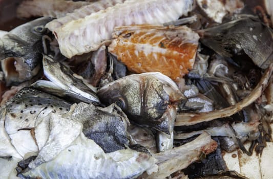 Detail of leftovers from a fishmonger, garbage and dirt