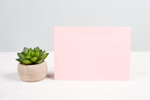 Empty paper with a cactus textured background, brainstorming for new ideas, writing a message, home office desk