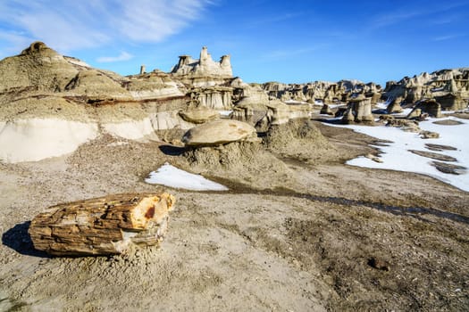 Pieces of petrified wood at Bisti De-Na-Zin Wilderness area in New Mexico in winter
