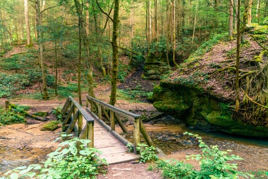 Footbridge over a creek on a hiking trail in Red River Gorge, Kentucky