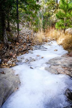 Scenic view of a frozen creek in Grasshopper Canyon in New Mexico