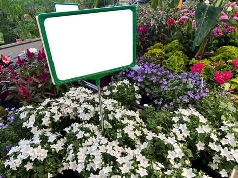 front view closeup of garden flowers on shop shelf with white empty info signage board sign