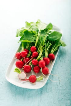 Bunch of fresh red radish on blue background