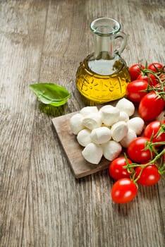 Mozzarella Cheese with Tomatoes and olive oil