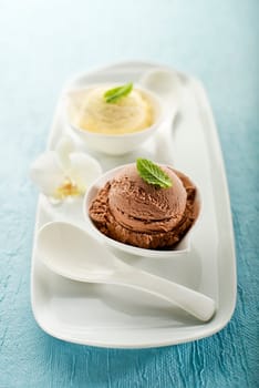 Chocolate and vanilla Ice cream on a white plate