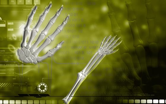 Digital illustration of hand bone in colour background