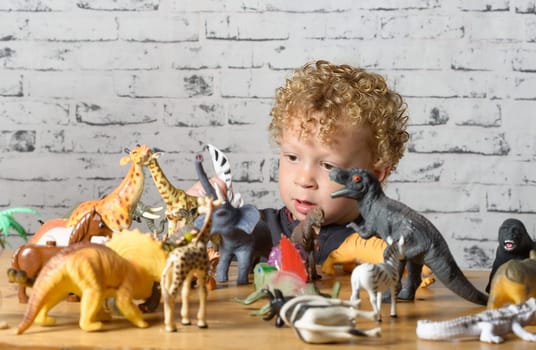 a little child plays with toys animals and dinosaurs