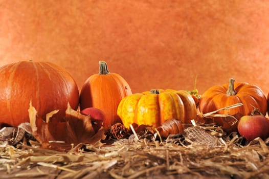 Halloween - many different pumpkins on straw against brown background with text space