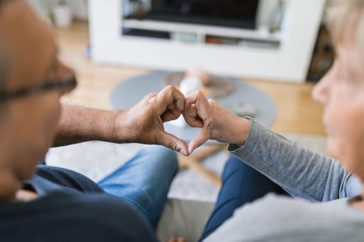 Happy romantic senior couple in love bonding at home