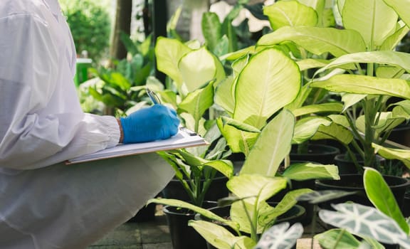 Scientist researching on plants. Agricultural engineer test health and analyze example plants