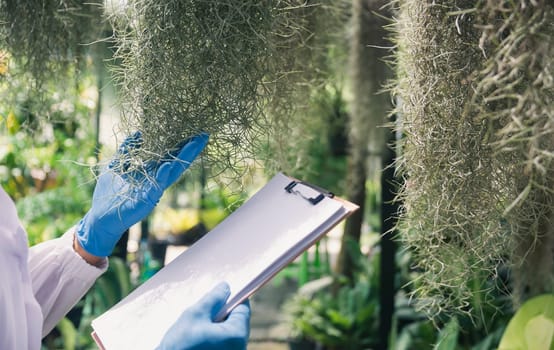 Scientist researching on plants. Agricultural engineer test health and analyze example plants
