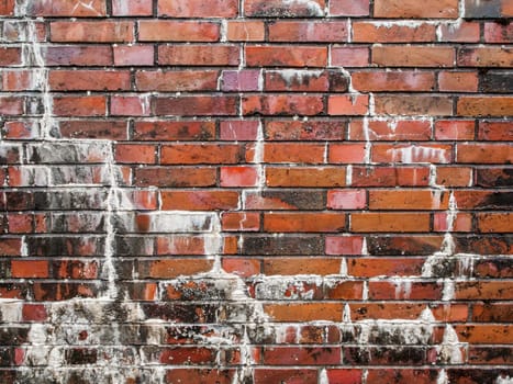 Full-frame view of a rain-soaked brick wall with efflorescence.