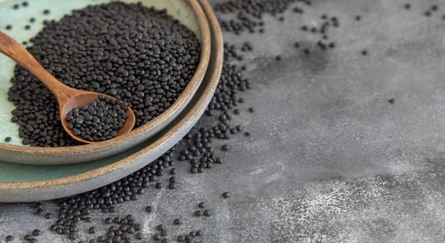 Plate of dry black lentils beans with a spoon on grey table close up, copy space. Healthy eating, protein source for vegan and vegetarian diet. Traditional Asian and North African cuisines ingredient