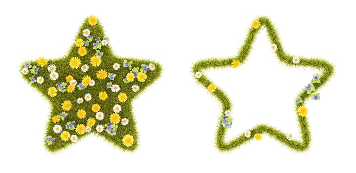 Flowery Grassy Star Shape Isolated on White Background 3D Illustration