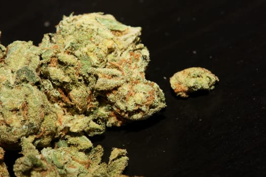 Marihuana buds close up in black background pure medical cbd super lemon haze cannabis sativa family cannabaceae big size high quality print