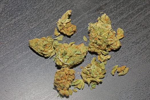 Marihuana buds close up in black background pure medical cbd super lemon haze cannabis sativa family cannabaceae big size high quality print
