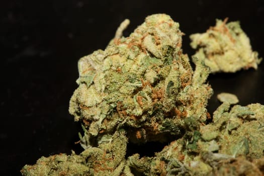 Marihuana buds close up in black background pure medical cbd super lemon haze cannabis sativa family cannabaceae big size high quality print