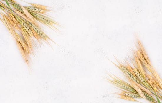 Wheat crop on a textured background, copy space for text, food harvest in the summer, golden straw