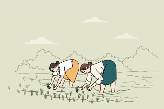 Women standing in water on plantation working on rice field. Female employees farming on organic farmland. Agriculture and manual labor. Vector illustration.