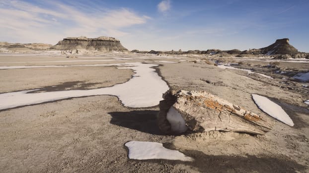 Pieces of petrified wood at Bisti De-Na-Zin Wilderness area in New Mexico in winter