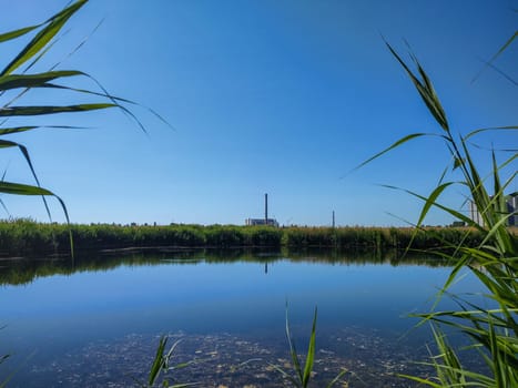Industrial plant with a chimney on the shore of the reservoir.  Production enterprise.  Freshwater lake.  Water surface.  Green reed.  Heavenly horizon.  Coastline.  Fisherman's place.  Ecology.