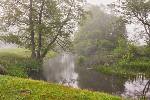 Spring Sunrise landscape. River in picturesque park. Summer foggy calm morning rural scene. Creek in misty woodland. Fresh green grass on stream banks. Alder trees on riverside.