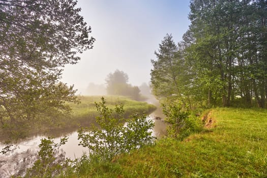 Spring Sunrise landscape. River in picturesque park. Summer foggy calm morning rural scene. Creek in misty woodland. Fresh green grass on stream banks. Alder trees on riverside.