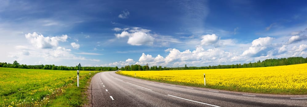 Panoramic view of the curve asphalt road in spring in nature. Blossom time in natural park. Empty highway.