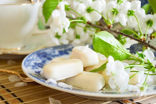 Set of white chocolate candies close up, tenderness of morning coffee, with white cherry flowers
