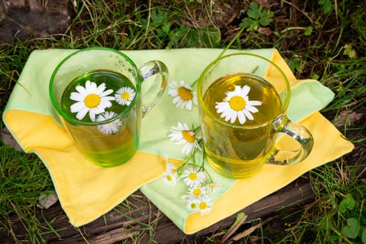 Chamomile tea. Glass cups of chamomile herbal tea with chamomile flower with nature background in garden. Romantic breakfast, hot drink. Top view