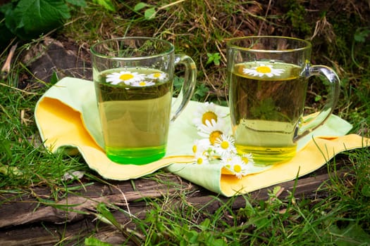 Glass of herbal chamomile tea and chamomile flowers in old garden. Sunny summer day