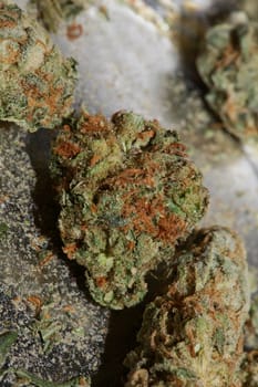 Medical cannabis super lemon haze skank marihuana macro modern background high quality print