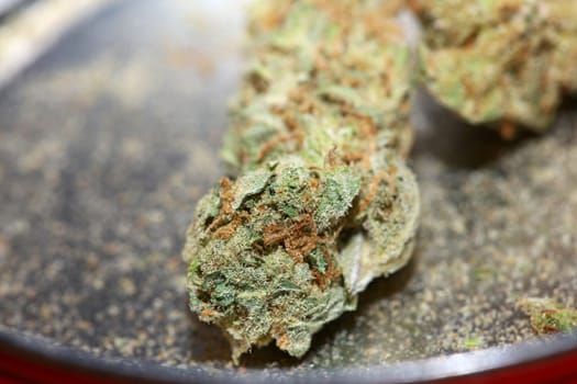 Medical cannabis super lemon haze skank marihuana macro modern background high quality print
