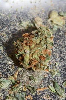 Medical cannabis super lemon haze skank marihuana macro modern background high quality print