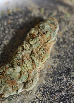 Medical cannabis super lemon haze skank marihuana macro modern background high quality print