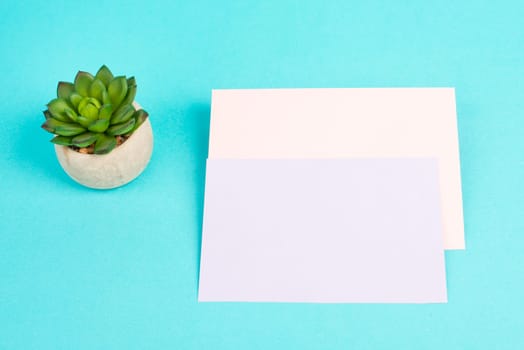 Empty paper with a cactus textured background, brainstorming for new ideas, writing a message, home office desk