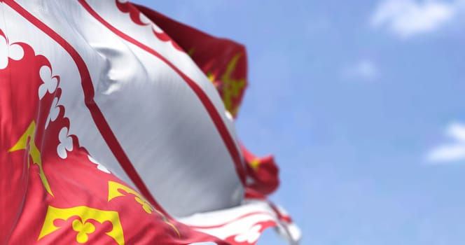 Rear view of the Alsace flag waving in the wind on a clear day. Alsace is a cultural region and a territorial collectivity in eastern France. Selective focus
