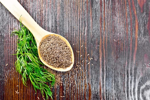 Cumin seeds in spoon and on the table, a green twig of a plant on background of wooden board from above